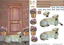 Golden Labrador on a Door Step