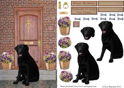 Black Labrador on a Door Step