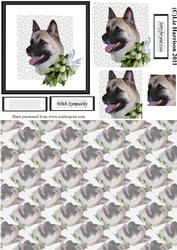 Akita Sympathy Pyramid