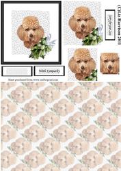 Apricot Poodle Sympathy Pyramid