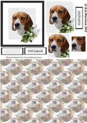 Beagle Pyramid Sympathy