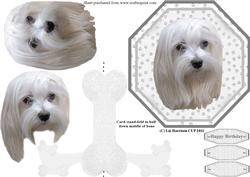Maltese Plate Shaped Card & Stand
