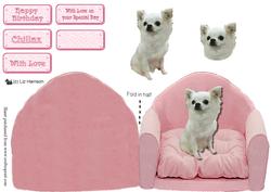 Chihuahua on a Pink Chair