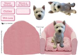 Westie on a Pink Chair
