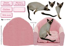 Siamese Cat on a Pink Chair