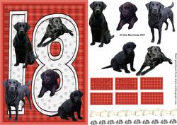 Black Labrador 18th Birthday Card