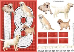 Golden Labrador 18th Birthday Card