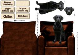 Black Labrador Sat on Chair