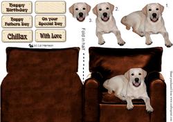 Golden Labrador Sat in a Chair