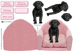 Black Labrador Puppy in a Pink Chair