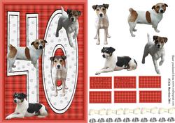 Jack Russell Terrier 40th Birthday Card