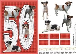 Jack Russell Terrier 50th Birthday Card