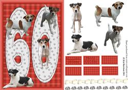 Jack Russell Terrier 60th Birthday Card