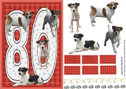 Jack Russell Terrier 80th Birthday Card