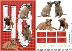 Border Terrier 40th Birthday Card
