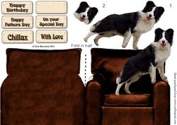 Border Collie on an Armchair