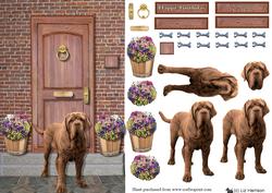 Mastiff Dog on a Doorstep
