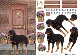 Rottweiler Stood on a Doorstep