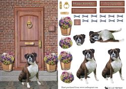 Boxer Dog on a Doorstep