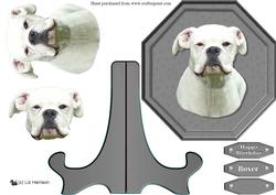 Boxer Dog ,white, Plaque & Stand