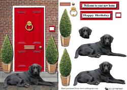 Black Labrador Retriever with a Red Door