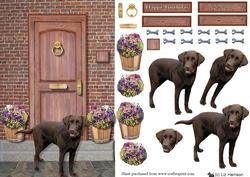Chocolatelabrador on a Door Step