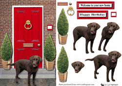 Labrador Retriever,chocolate,with a Red Door