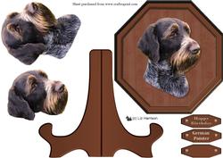 German Wire Haired Pointer Plaque & Stand