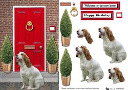 Welsh Springer Spaniel with a Red Door