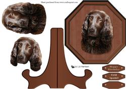 Field Spaniel Plaque & Stand