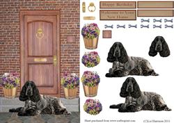 Cocker Spaniel ,black & White,on a Door Step