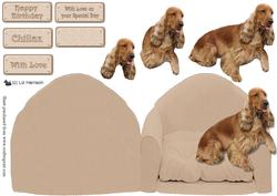 Cocker Spaniel,golden,on a Beige Armchair