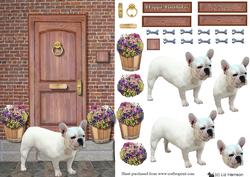 French Bulldog on a Door Step