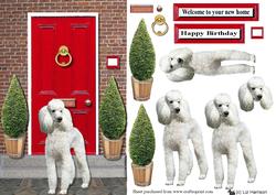 Standard Poodle Red Door Scene