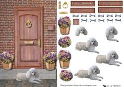 Miniature Poodle ,white,door Step Scene