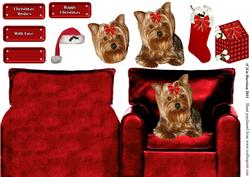 Christmas Yorkshire Terrier in an Armchair