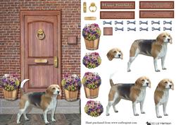 Beagle on a Door Step