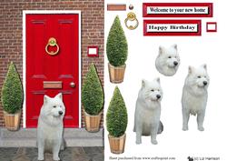 Samoyed with a Red Door
