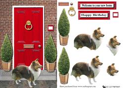 Shetland Sheepdog with a Red Door