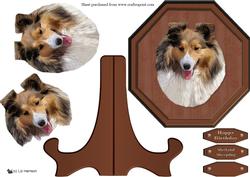 Shetland Sheepdog Plaque & Stand