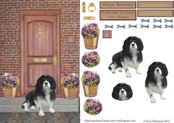 Cavalier King Charles Spaniel on a Door Step
