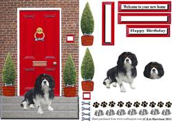 Cavalier King Charles Spaniel with a Red Door