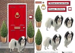 Japanese Chin with a Red Door