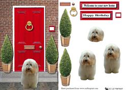 Coton De Tulear Dog with a Red Door
