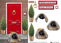 Pekingese with a Red Door