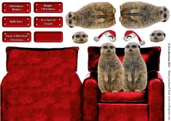 Meerkat Pair in a Christmas Arm Chair