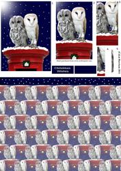 Owl Pair on a Post Box Pyramid with Background