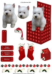 Westie in a Christmaxs Box