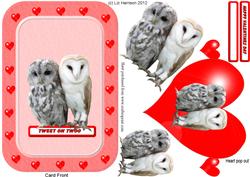Owls with a Pop Out Heart Card
