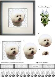 Bichon Frise Portrait 3D Decoupage
